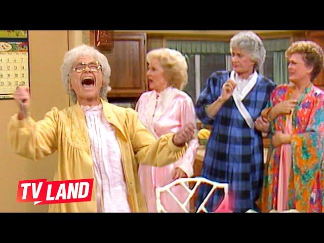 Best Cheesecake Moments on The Golden Girls  TV Land