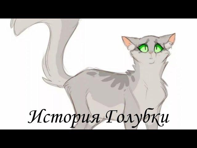 История Голубки/Коты-воители