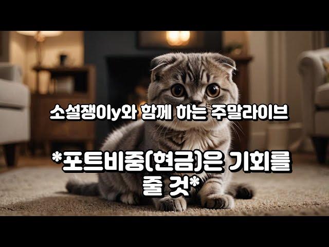 포트비중 (현금)은 기회를 줄 것