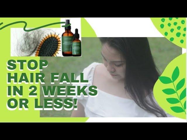 Effective Solution to Hair Fall ft. SUDTANA | Treatment for Hair Loss, Dandruff, & Frizzy Hair