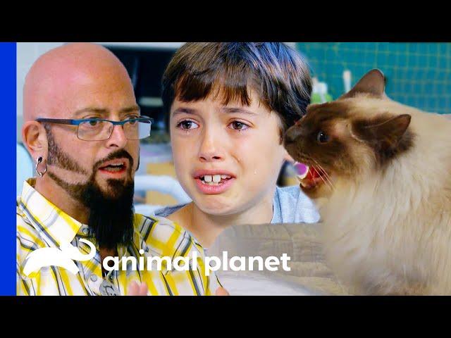 Cats' Behavior Tears Family Apart | My Cat From Hell