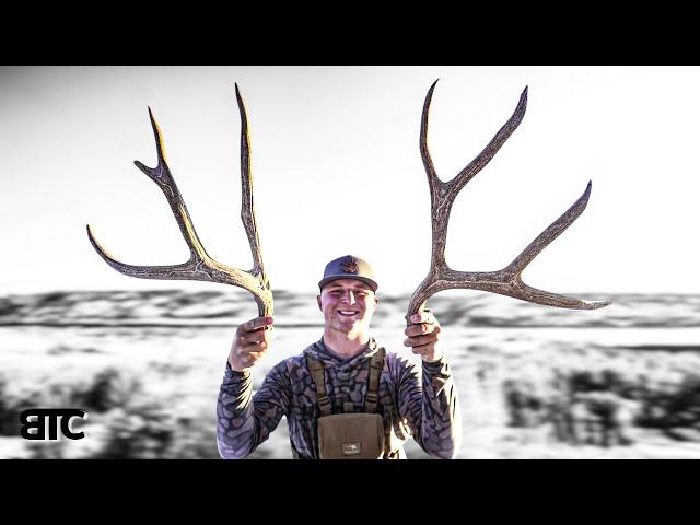 BIG BROWN SINGLES | 2025 SHED HUNTING | BTC 4K