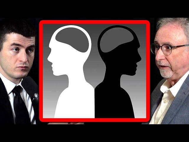 Race differences in intelligence | Richard Haier and Lex Fridman