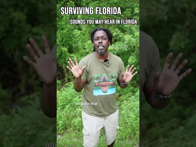 How to Survive in Florida (The Sound)