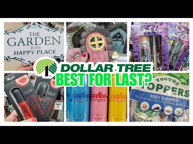 ‼️OMG THIS DOLLAR TREE SHOP WITH ME FOR 2025 MAY SEND US to DOLLAR TREE REHAB #dollartreeshopping