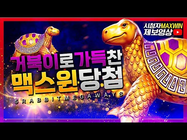 [슬롯머신][슬롯] 프라그마틱 : 5래빗 메가웨이즈 시청자 맥스윈 제보 영상![슬롯추천]