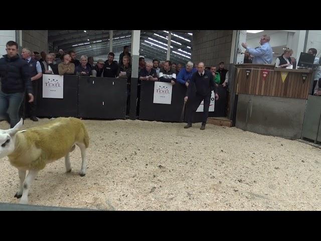 20240822131707 lot 301 Hexel High Voltage  70,000gns