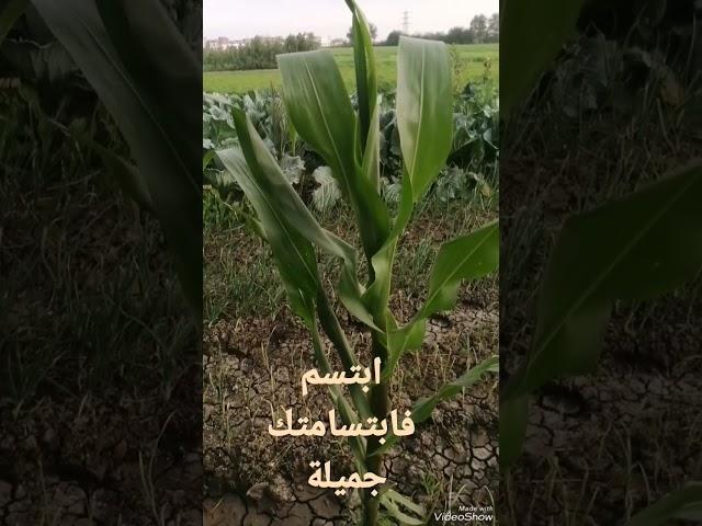 ١٦ يناير، ٢٠٢٣