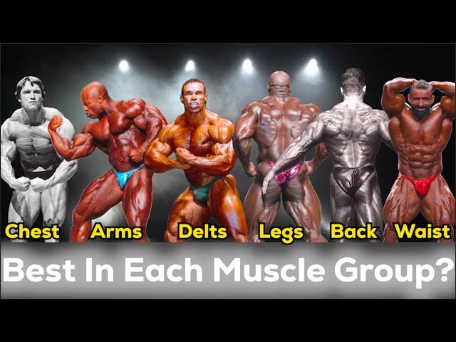 The Best Bodybuilder in Each Muscle Group