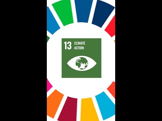 What are the UN Sustainable Development Goals?