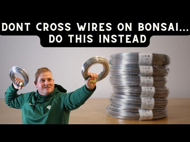 Don't Cross Wires on Bonsai: Do This Instead and Plan Ahead!!!