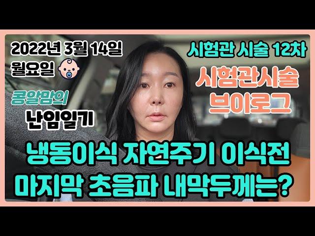 [시험관브이로그]냉동이식 자연주기 이식전 내막두께?