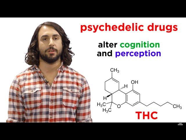 Illicit Drugs: How Do They Work?