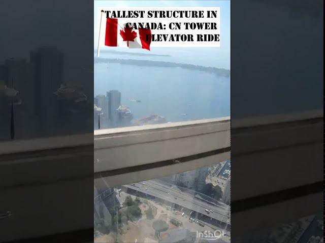 The Tallest Structure in Canada: CN tower elevator ride | #shorts