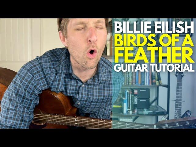 Birds of a Feather by Billie Eilish Guitar Tutorial - Guitar Lessons with Stuart!