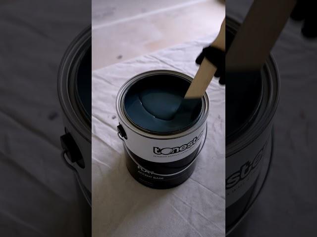 Black-blue paint for a client?