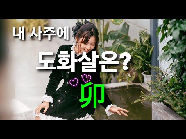 내 사주에 "도화살" 묘목이 있으면?