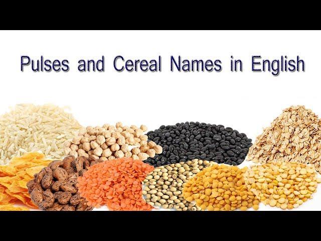 Pulses and Cereal Names in English | Cereal and Pulses Names Vocabulary