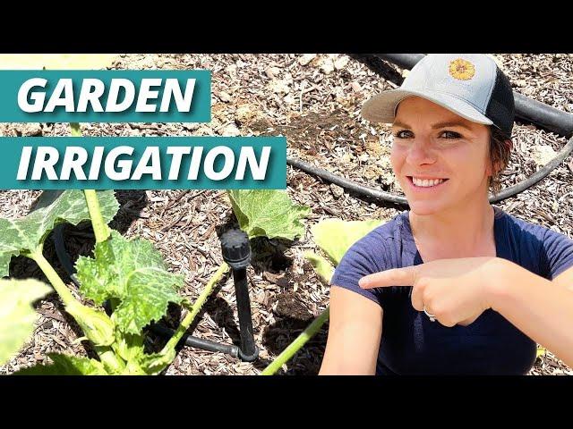 Drip Irrigation Parts Explained for Home Gardeners