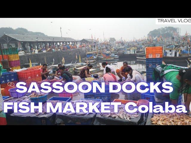 4K Sassoon Dock Fish Market Colaba Mumbai 1871 Walk Tour November 2024