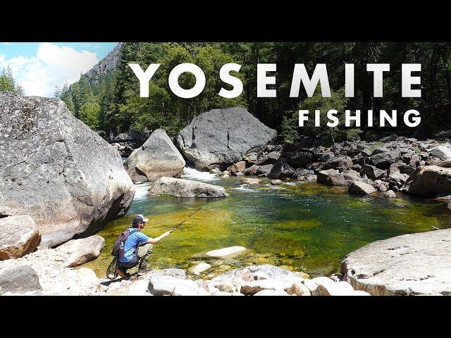 Fishing INCREDIBLE Streams in Yosemite National Park! (Tenkara Fly Fishing)