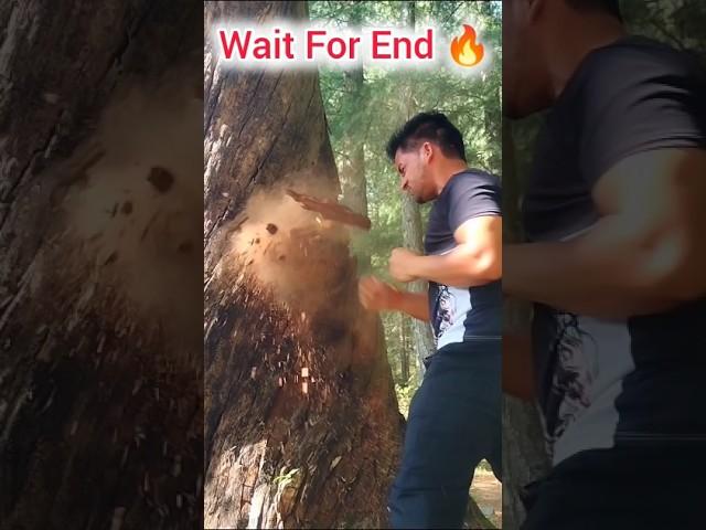 Wait For End  Punch Practice #itrainlikevidyutjammwal #youtubeshorts #martialarts #fitness #shorts