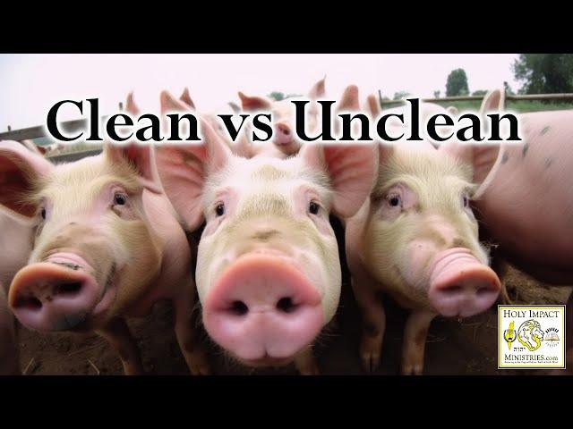 CLEAN VS UNCLEAN