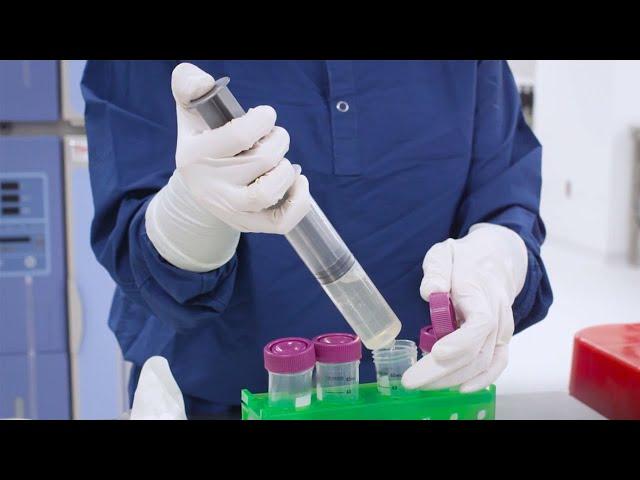 The Cell Therapy Process (BMS Cell Therapy Manufacturing Tour)