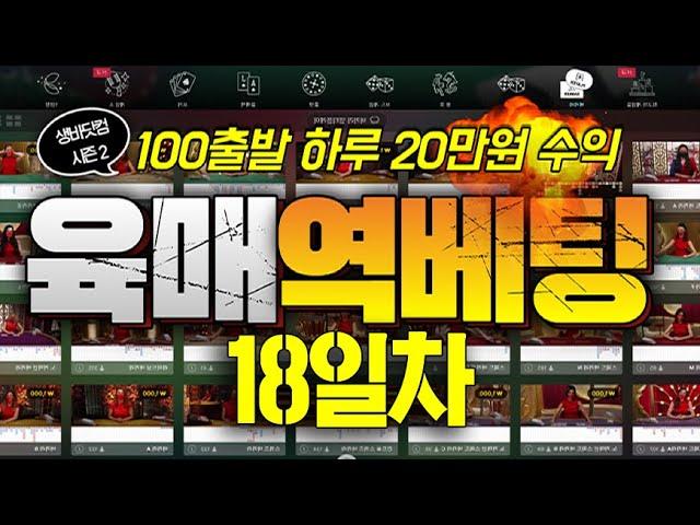 [생바닷컴 시즌 2 - 18일차] 100만원으로 매일 20만원 수익 올리기 : 베팅중에 타이가 나왔을때?