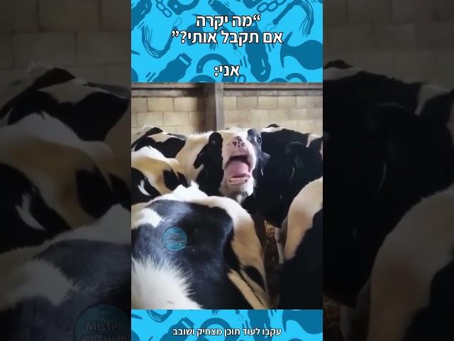 עקבו לעוד תוכן מטורף   @mister__confessions     לפודקאסט המנ!ת ה