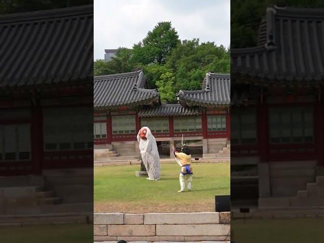 BEAUTIFUL Traditional Korean Lion Dance in Seoul #shorts