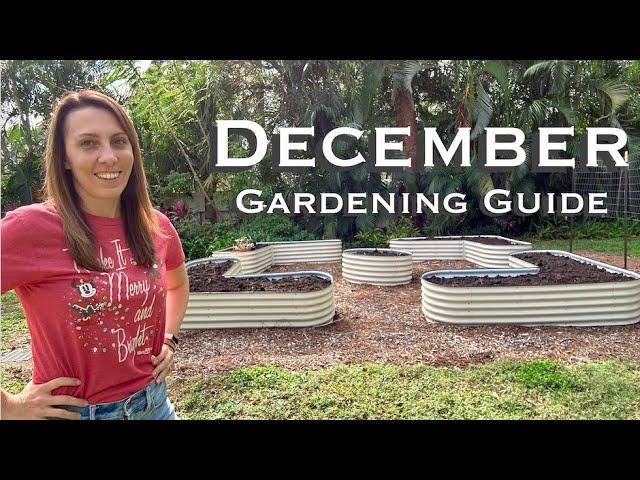 December Garden Guide: The Ultimate Guide to Florida Gardening