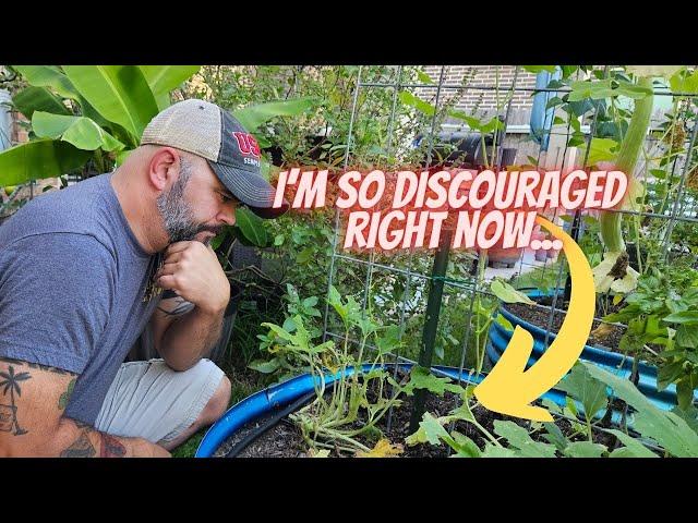 This is a Part of Gardening That Isn't Talked About || DHBG