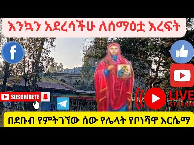 በደቡብ ክልል የምትገኘው በሻሸጎ ቦነሻ ቅድስት አርሴማ #ቀጥታ_ስርጭት #Maedot_tube #ማዕዶት_ቲዩብ #LIVE @maedottube2730