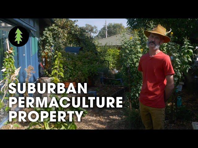 Family Transforms Tiny Suburban Backyard into Thriving Permaculture Gardens – Abdallah House Tour