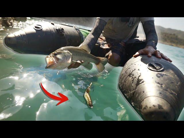 [SWIMBAIT REPUBLIC] Pescamos un CAÑON lleno de BASSES - Ep.2