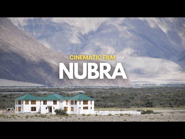 NUBRA VALLEY | 4K | Hunder Sand Dunes & Diskit, Ladakh [Drone Shots]