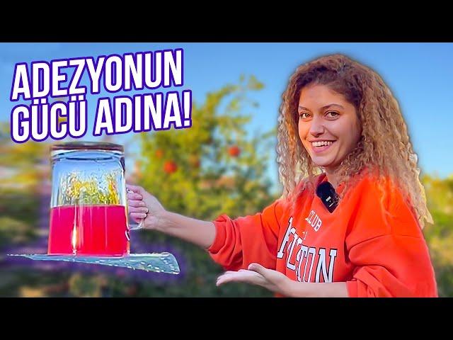 Adezyon - Kohezyon Deneyli Anlatım - Madde ve Özellikleri: Su aslında yapışkan mı