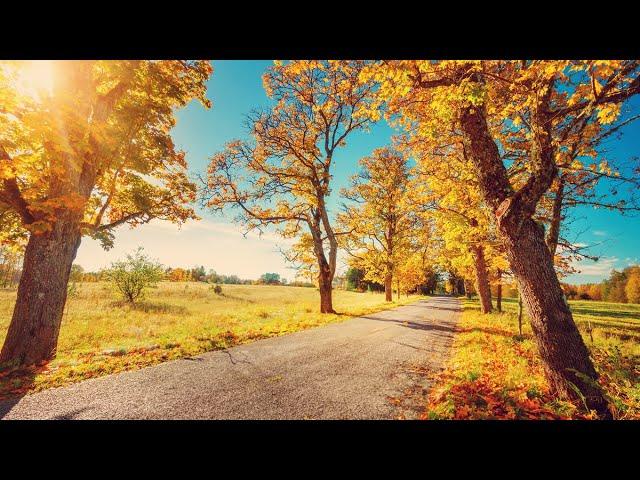 Wetter heute: So strahlend startet das Wochenende