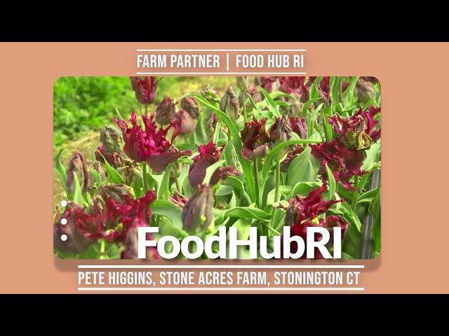 Stone Acres Farm, FoodHub RIFarm Partner