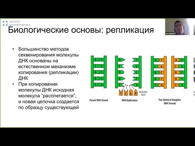 Введение в технологии секвенирования и форматы данных | Юрий Барбитов, Институт биоинформатики