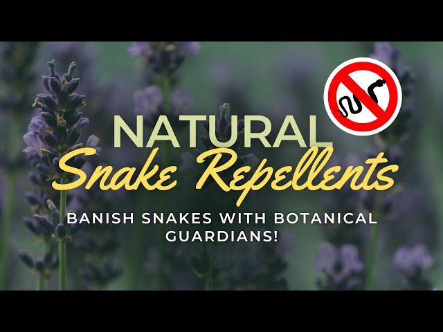 Top 10 Powerful Plants to Repel Snakes from Your Garden 