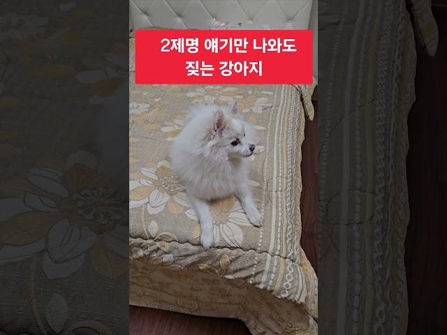 2제명 얘기만 나와도 짖는 애국강아지 #멸공