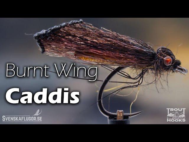 Burnt Wing Caddis | Flugbindning | Svenskaflugor.se