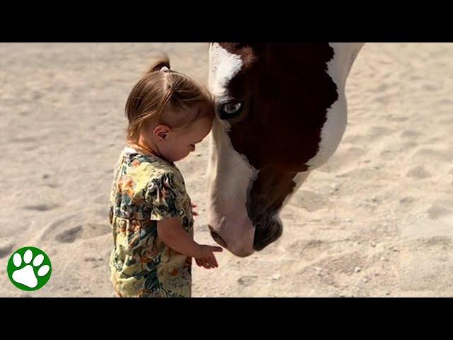 Two-year-old horse whisperer