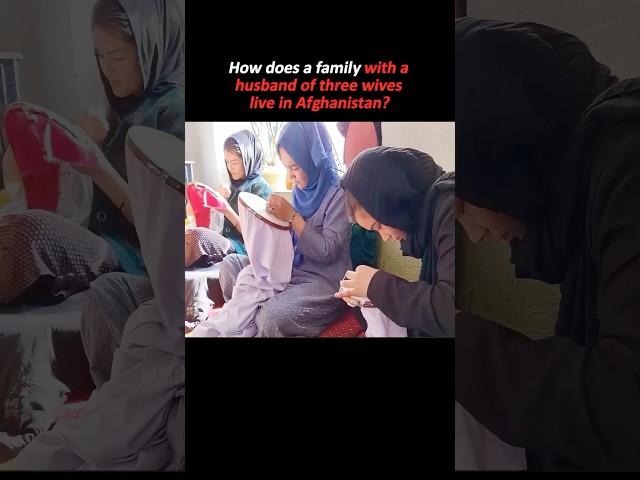 How does a family with a husband of three wives live in Afghanistan #adayinmylife #youtube