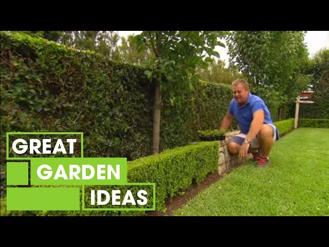 Tips & Tricks For Perfect Hedging | Gardening | Great Home Ideas