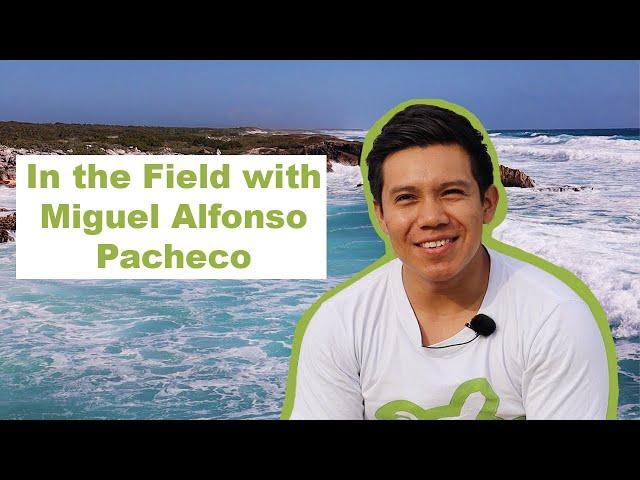 IN THE FIELD | Sea Turtle Conservation with Miguel Alfonso Pacheco