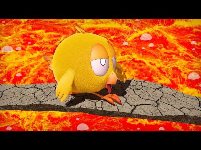 Where's Chicky? Funny Chicky 2022  THE FLOOR IS LAVA | Chicky Cartoon in English for Kids