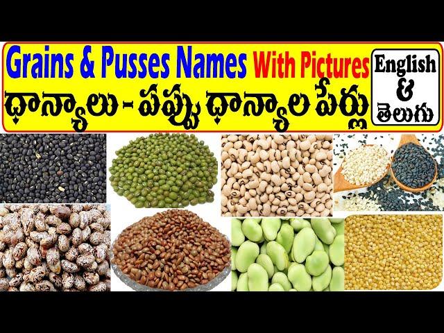 Learn All Grains And Pulses Names In English And Telugu Easily | ధాన్యాలు - పప్పు ధాన్యాల పేర్లు